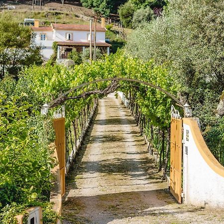 Magnolias Cottage Lousã Εξωτερικό φωτογραφία