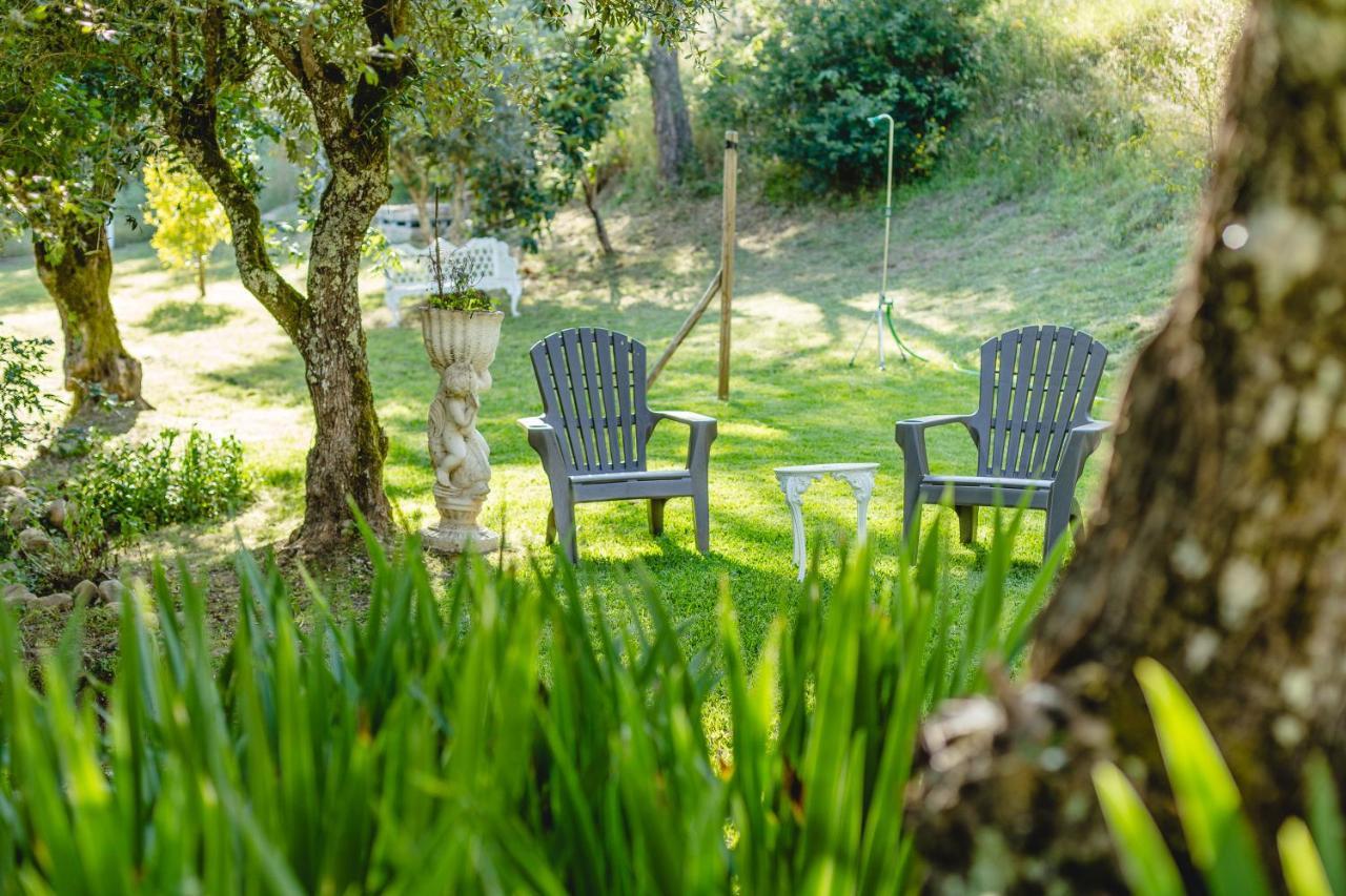 Magnolias Cottage Lousã Εξωτερικό φωτογραφία