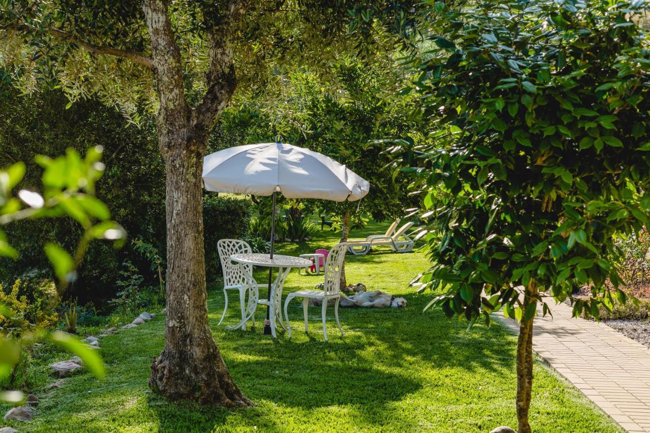 Magnolias Cottage Lousã Εξωτερικό φωτογραφία