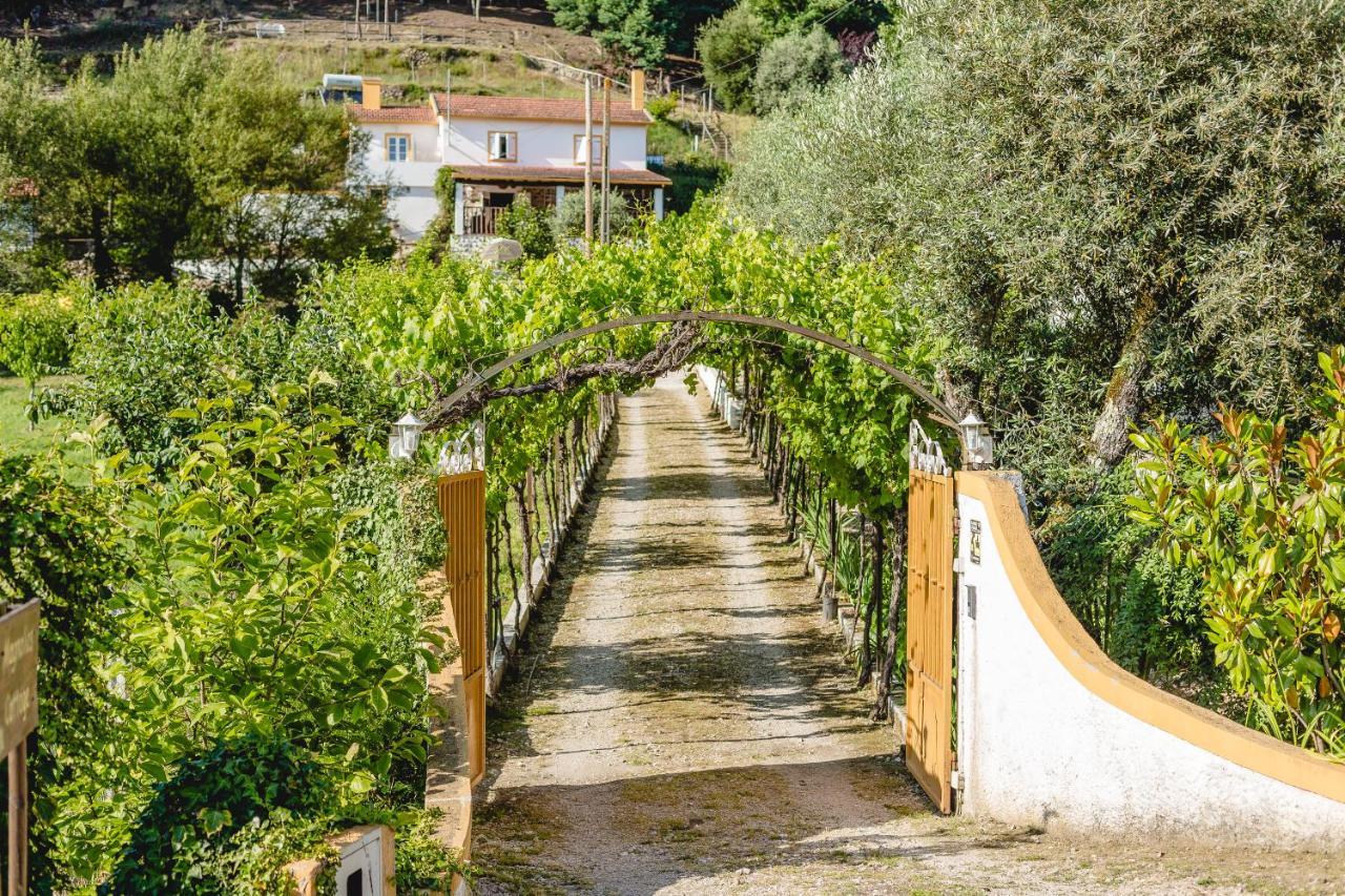 Magnolias Cottage Lousã Εξωτερικό φωτογραφία
