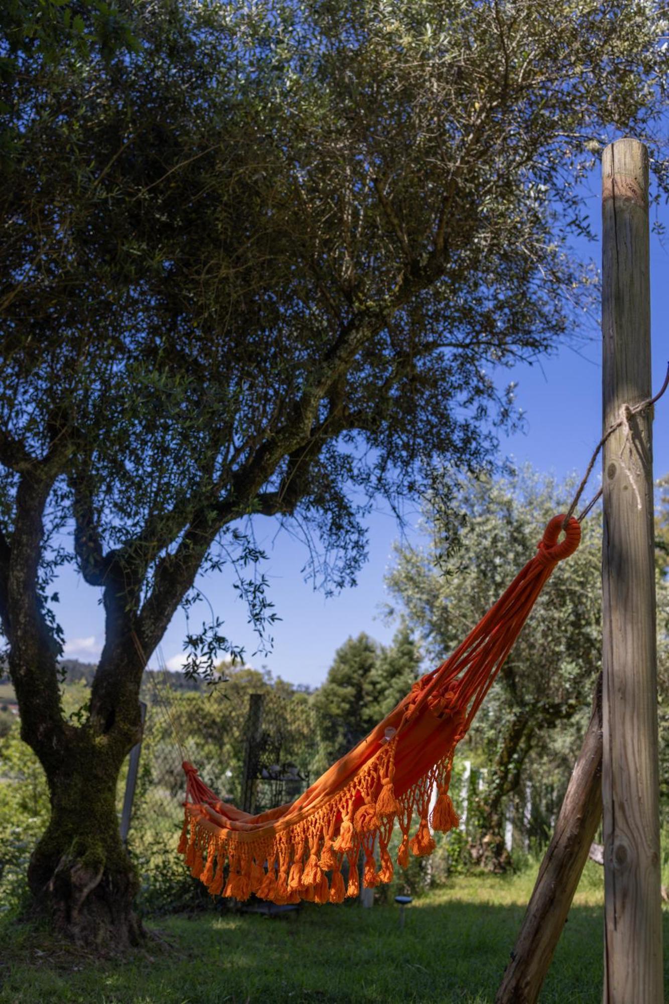 Magnolias Cottage Lousã Εξωτερικό φωτογραφία